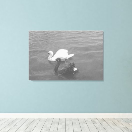 Zwart-witte zwaan op een meer canvas afdruk (Insitu (Houten vloer))