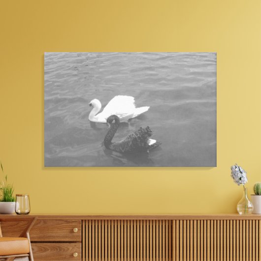 Zwart-witte zwaan op een meer canvas afdruk (Insitu (Woonkamer))