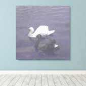 Zwart-witte zwaan op een meer canvas afdruk (Insitu (Houten vloer))