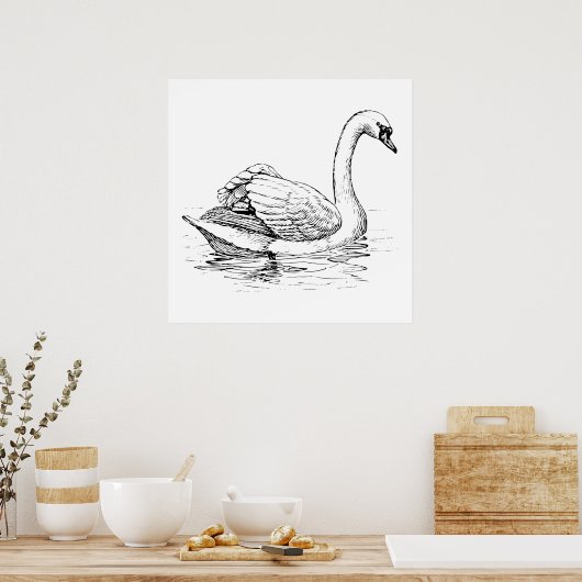 Zwart-witte zwaan poster (Keuken)