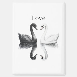 Zwart Witte Zwanen Vogels Weerkaatsing Liefde Magneet