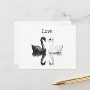 Zwart Witte Zwanen Vogels Weerspiegeling Briefkaart