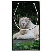 Zwart-witte zwarte tijger ontspannen en glimlachen klein cadeauzakje (Achterkant)