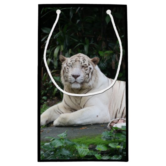 Zwart-witte zwarte tijger ontspannen en glimlachen klein cadeauzakje (Achterkant)