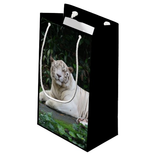Zwart-witte zwarte tijger ontspannen en glimlachen klein cadeauzakje (Achterkant Gekanteld)