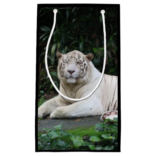 Zwart-witte zwarte tijger ontspannen en glimlachen klein cadeauzakje (Voorkant)