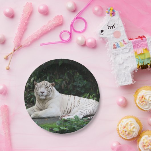 Zwart-witte zwarte tijger ontspannen en glimlachen papieren bordje (Feest)