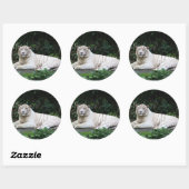 Zwart-witte zwarte tijger ontspannen en glimlachen ronde sticker (Vel)