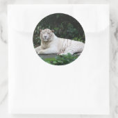 Zwart-witte zwarte tijger ontspannen en glimlachen ronde sticker (Tas)