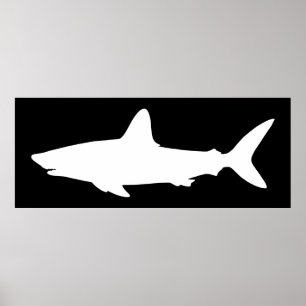 Zwart-witte zwemmende haai poster