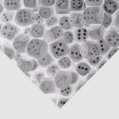 Zwart-witteband afdrukpapier tissuepapier (Detail)