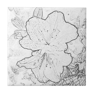 Zwart-witteband Tegeltje