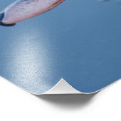 Zwart-witteend dubbeltje foto afdruk (Hoek)