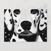 Zwart-wittekletteraar Dalmatian Puppy Briefkaart (Voorkant)