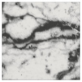 Zwart-wittekonpatroon Stof (Close Up)