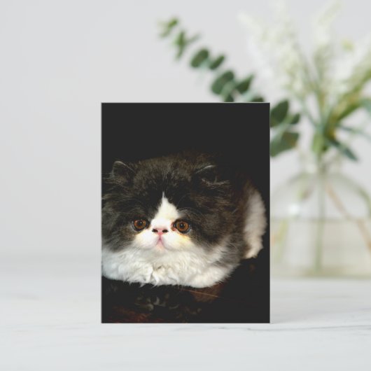 Zwart-witten Briefkaart (Staand voorkant)