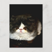 Zwart-witten Briefkaart (Voorkant)