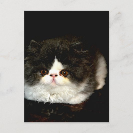 Zwart-witten Briefkaart (Voorkant)