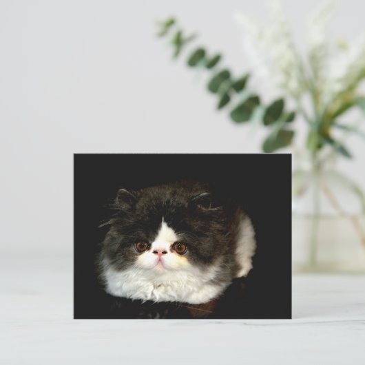 Zwart-witten Briefkaart (Staand voorkant)