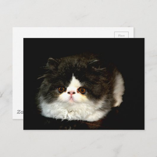 Zwart-witten Briefkaart (Voorkant / Achterkant)