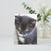 Zwart-witten Briefkaart (Staand voorkant)