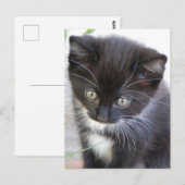 Zwart-witten Briefkaart (Voorkant / Achterkant)