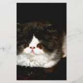 Zwart-witten Briefpapier (Voorkant)