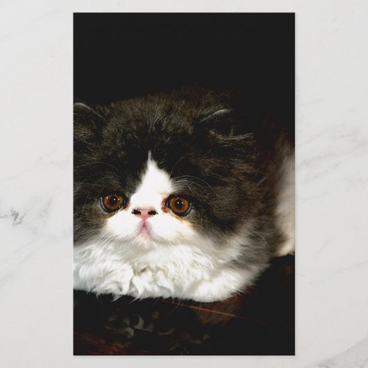 Zwart-witten Briefpapier (Voorkant)