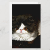 Zwart-witten Briefpapier (Voorkant / Achterkant)