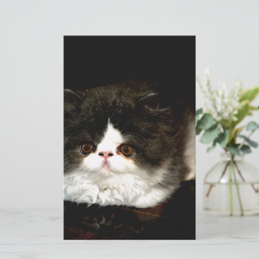 Zwart-witten Briefpapier (Staand voorkant)