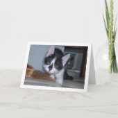 Zwart-witten Kaart (Voorkant)