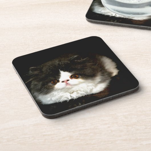 Zwart-witten Onderzetter (Linkerzijde)