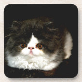 Zwart-witten Onderzetter (Voorkant)