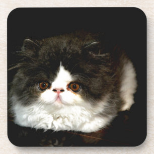 Zwart-witten Onderzetter