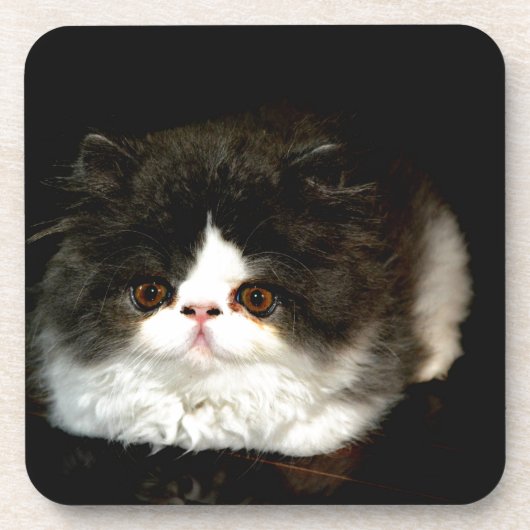 Zwart-witten Onderzetter (Voorkant)