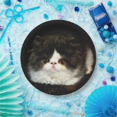 Zwart-witten Papieren Bordje (Feest)