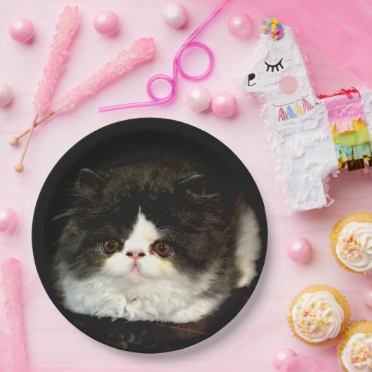 Zwart-witten Papieren Bordje (Feest)