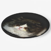 Zwart-witten Papieren Bordje (Gekanteld)