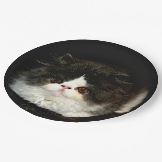 Zwart-witten Papieren Bordje (Gekanteld)