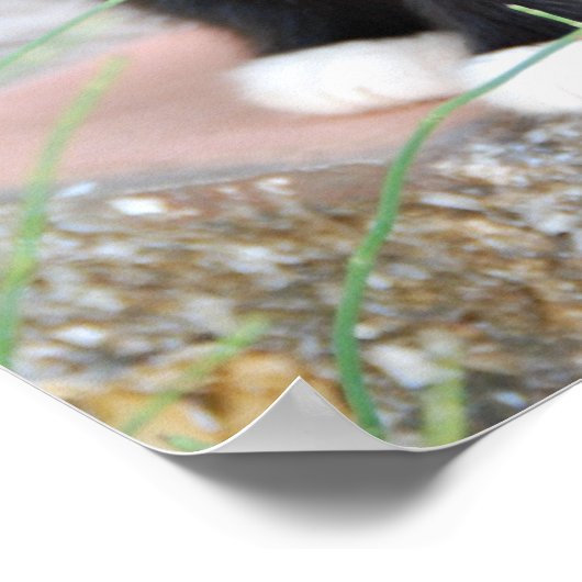 Zwart-witten Poster (Hoek)