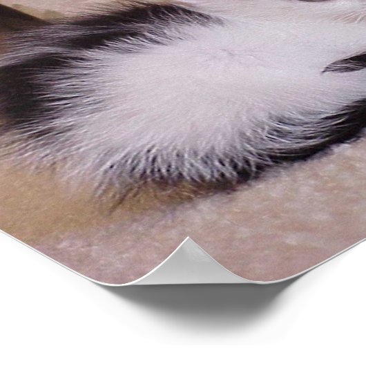 Zwart-witten Poster (Hoek)