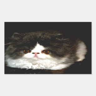 Zwart-witten Rechthoekige Sticker