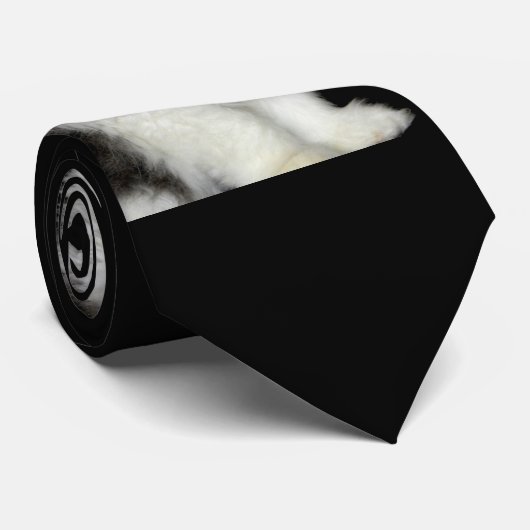 Zwart-witten Stropdas (Opgerold)