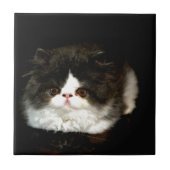 Zwart-witten Tegeltje (Voorkant)