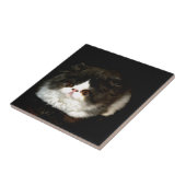 Zwart-witten Tegeltje (Zijkant)