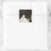 Zwart-witten Vierkante Sticker (Tas)