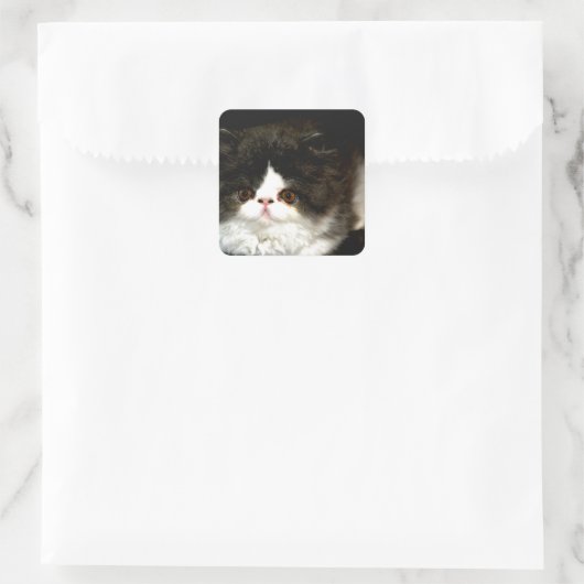 Zwart-witten Vierkante Sticker (Tas)