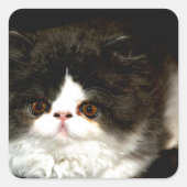 Zwart-witten Vierkante Sticker (Voorkant)