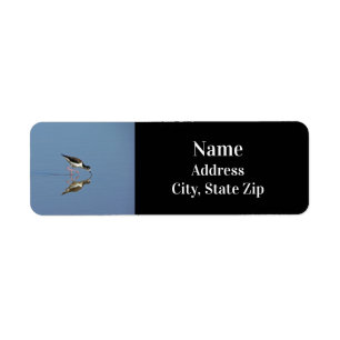 Zwart-wittevogel Foto Blauw-waterstrand Dier Etiket
