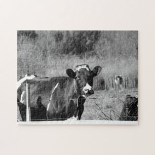 Zwart-wittewijk Holstein Koeien in de kleerstand Legpuzzel